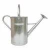 Galvanized Watering Can - 9L -Garden Care Shop 13976731 1484993048165425