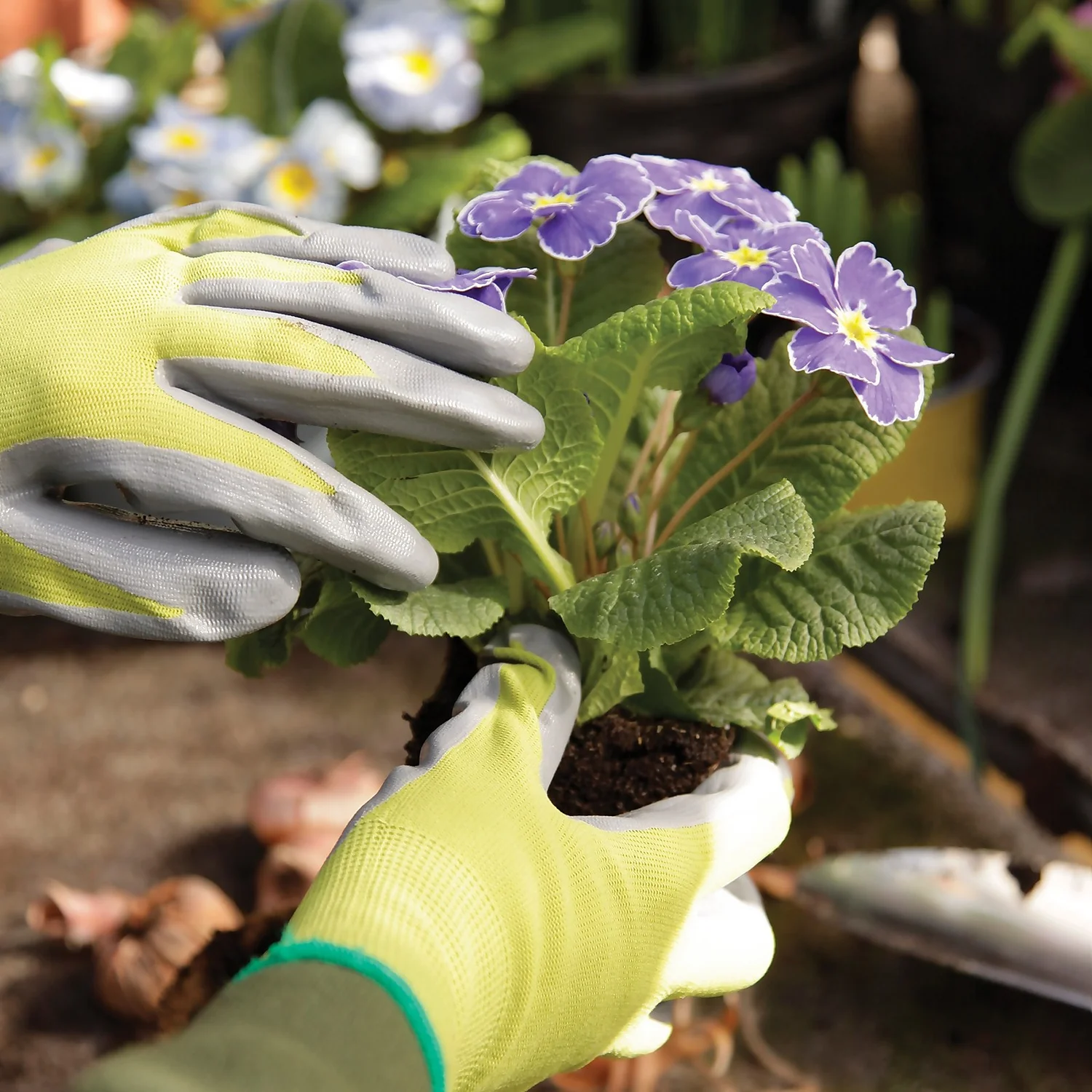 Kew Gardens Seeding And Weeding Gardening Gloves - Large 4 Kew Gardens Seeding And Weeding Gardening Gloves - Large - Image 2