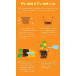 Westland Citrus Potting Mix Peat Free 8L -Garden Care Shop 14013785 1645003754507372