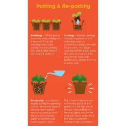Westland Cacti & Succulent Potting Mix Peat Free 4L -Garden Care Shop 14013786 1245003754031248