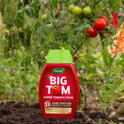 Westland Big Tom Super Tomato Food -Garden Care Shop 14013789 1265003754036822