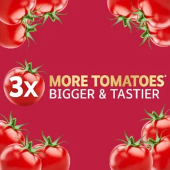 Westland Big Tom Super Tomato Food -Garden Care Shop 14013789 2045003754122724