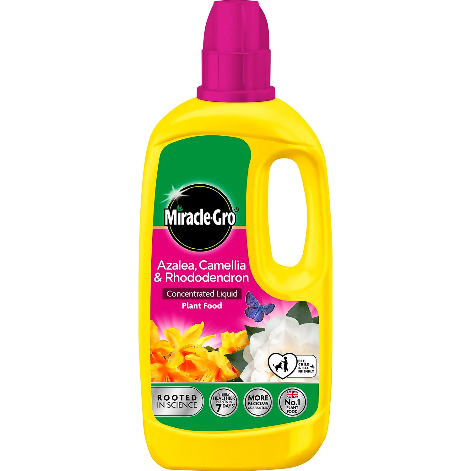 Miracle-Gro Azalea, Camellia & Rhododendron Concentrated Liquid Plant Food 800ml 3 Miracle-Gro Azalea, Camellia & Rhododendron Concentrated Liquid Plant Food 800ml