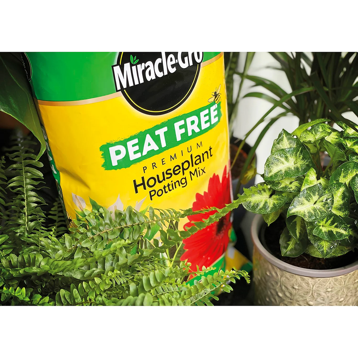 Miracle-Gro Premium Houseplant Potting Mix 10L 4 Miracle-Gro Premium Houseplant Potting Mix 10L - Image 2