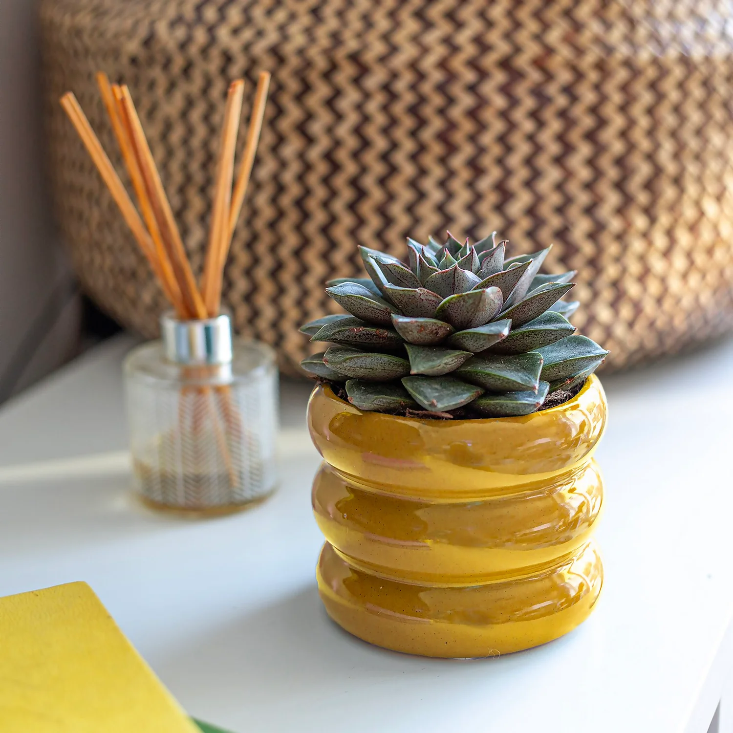 Ribbed Indoor Plant Pot - 11cm 7 Ribbed Indoor Plant Pot - 11cm - Image 5