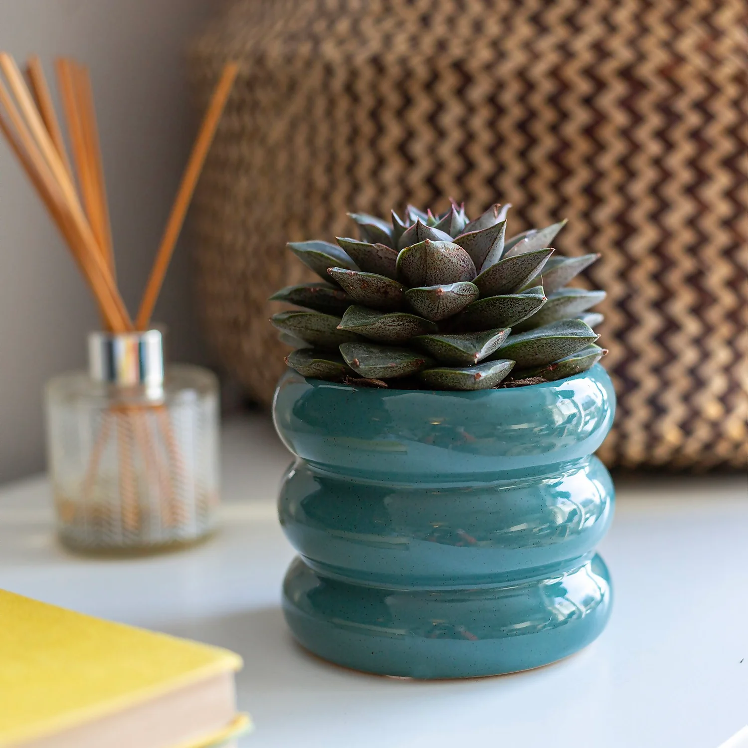 Ribbed Indoor Plant Pot - 11cm 4 Ribbed Indoor Plant Pot - 11cm - Image 2