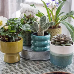 Ribbed Indoor Plant Pot - 11cm 16 Ribbed Indoor Plant Pot - 11cm -Garden Care Shop 14197409 2095024191435674