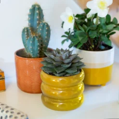 Ribbed Indoor Plant Pot - 11cm 17 Ribbed Indoor Plant Pot - 11cm -Garden Care Shop 14197409 5925024191500561