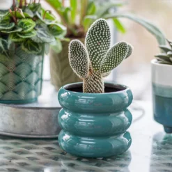 Ribbed Indoor Plant Pot - 11cm 15 Ribbed Indoor Plant Pot - 11cm -Garden Care Shop 14197409 6435024191381575