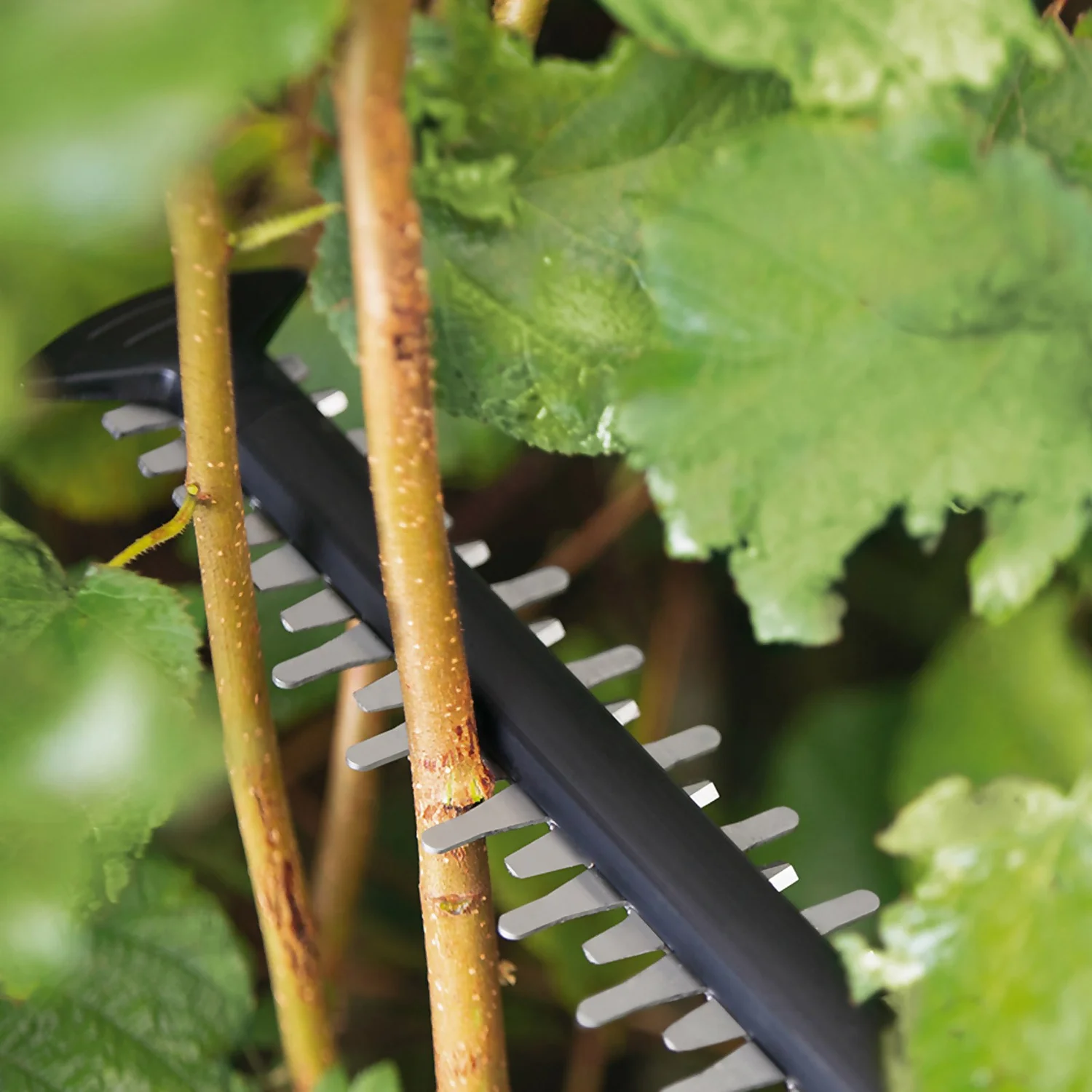 Bosch UniversalHedgeCut 18V-55 Hedge Cutter 12 Bosch UniversalHedgeCut 18V-55 Hedge Cutter - Image 10